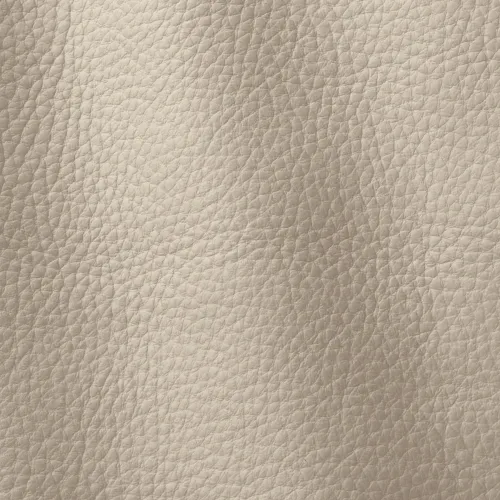 Atlantic Ivory